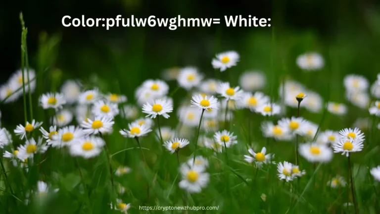 Color:pfulw6wghmw= White: