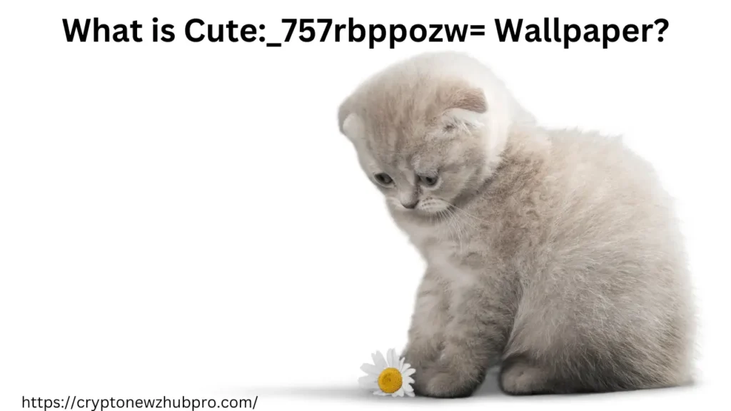 What is Cute_757rbppozw= Wallpaper