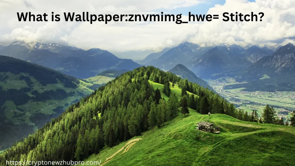 What is Wallpaper:znvmimg_hwe= Stitch?