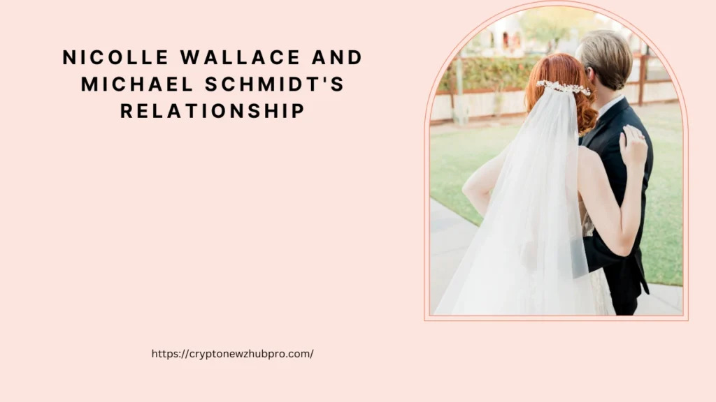 Nicolle Wallace and Michael Schmidt's Relationship