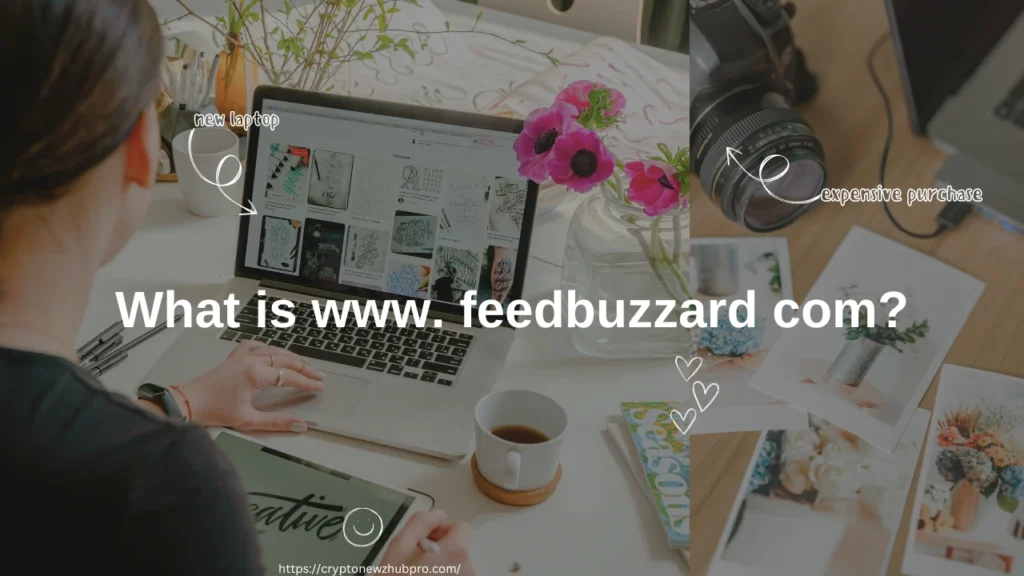 What is www. feedbuzzard com